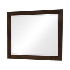 40 Inch Solid Wood Modern Mirror, Portrait, Framed, Cappuccino Brown